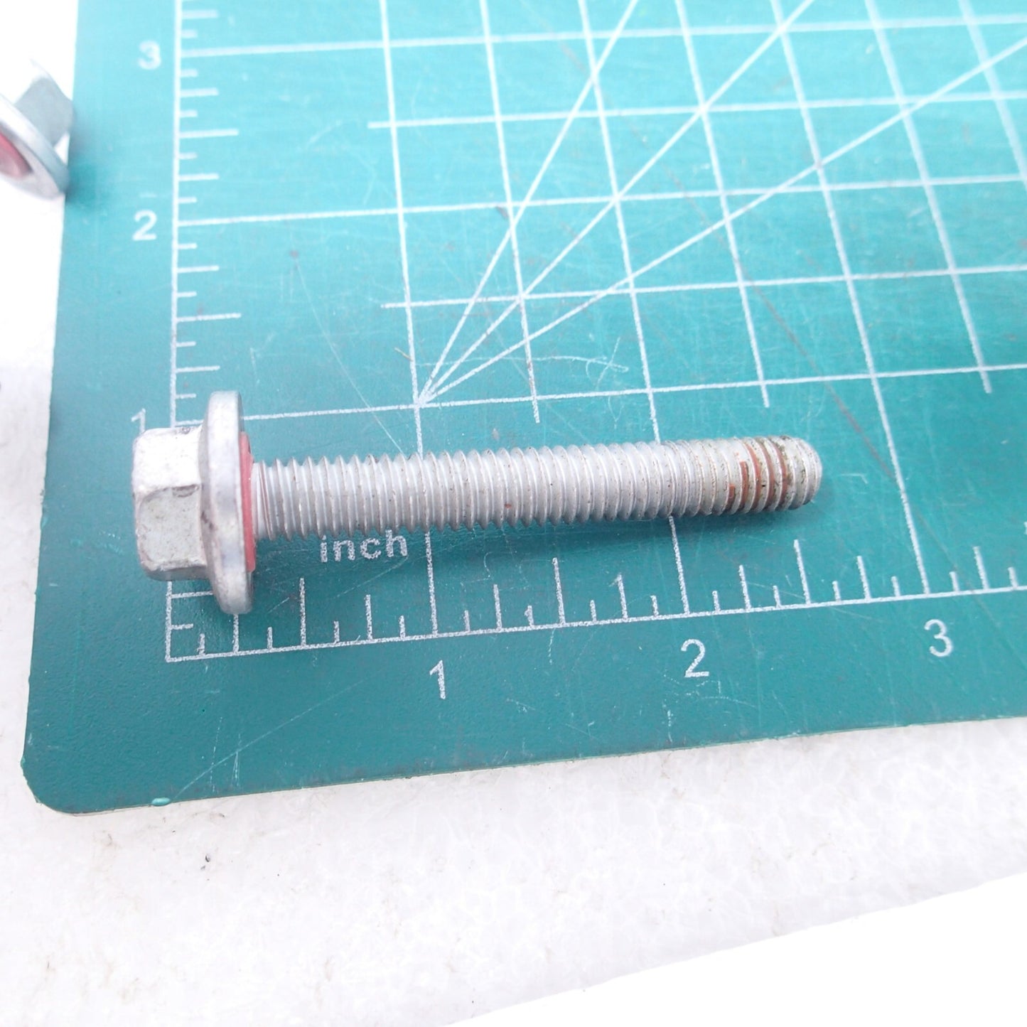 Harley-Davidson Inner Primary Case Mounting Bolts OEM #786A 5pcs