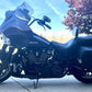 2018 Harley Davidson FLHCS
