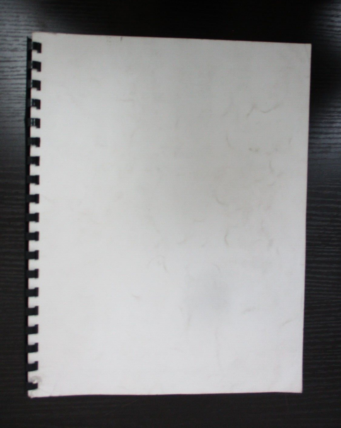 Harley-Davidson 1998 Specification Manual