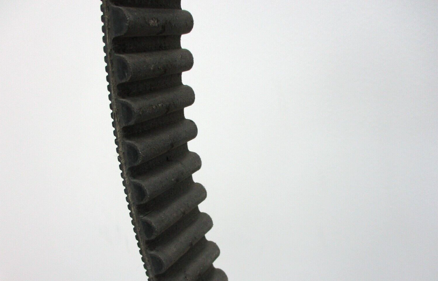 Harley Davidson OEM 139 x 1 1/2" w/Groove Drive Belt for '97 - '03 FLT 40024-97