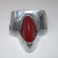 Tail Light Lens Cover Unknown Fitment