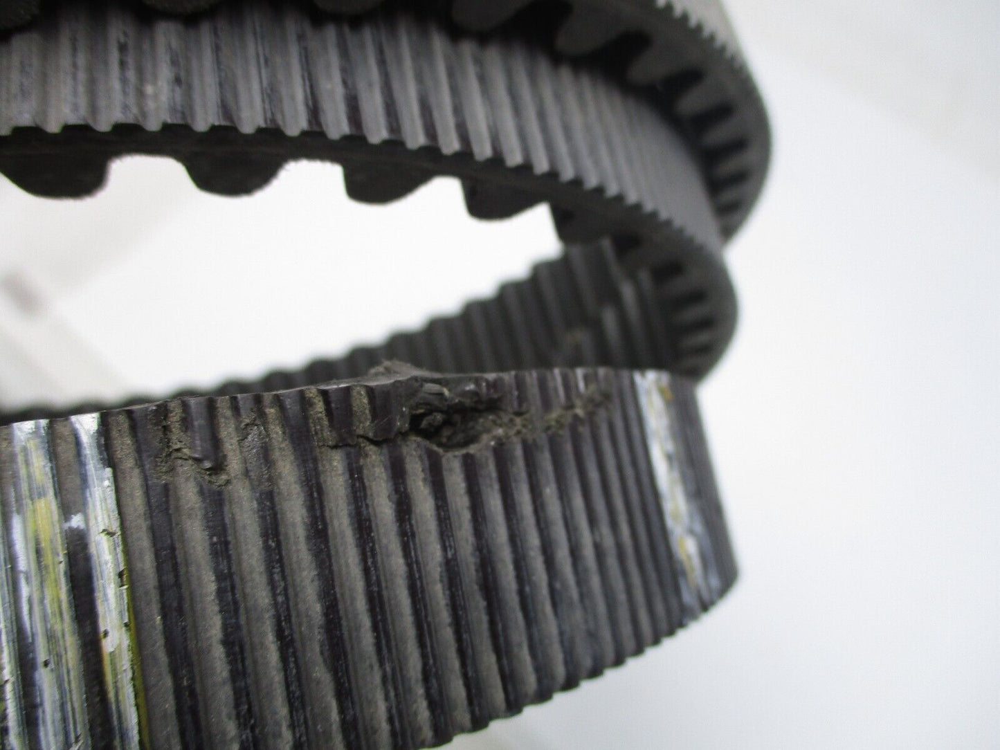 Harley Davidson OEM  Drive Belt 139T   1  1/8"  40024-04