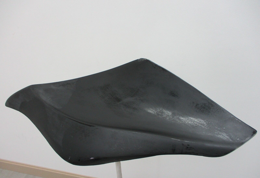 09 + Later Scalloped and Extended Fibreglass Sidecover RL38