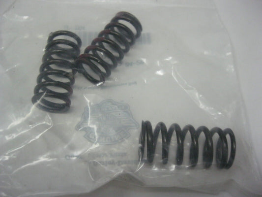Harley-Davidson OEM Milwaukee 8 Clutch Springs 11700002-SUB3