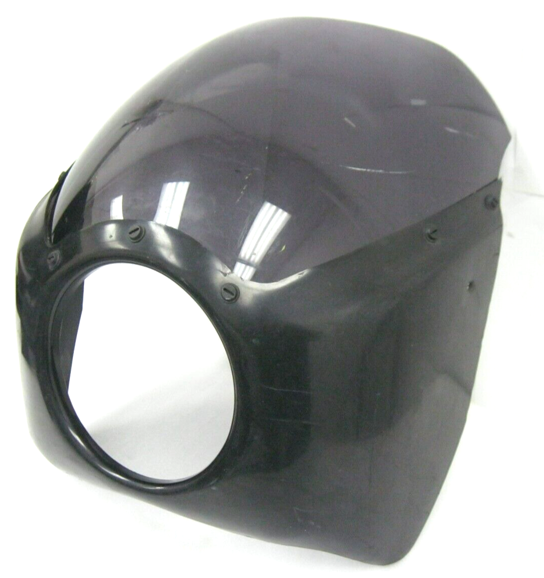 Aftermarket (Possibly Arlen Ness) Plastic Fairing & Windshield DAMAGED      6087