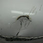 Harley-Davidson OEM 08-23 Touring Frost Ice Pearl Fuel Tank 61000120DZS