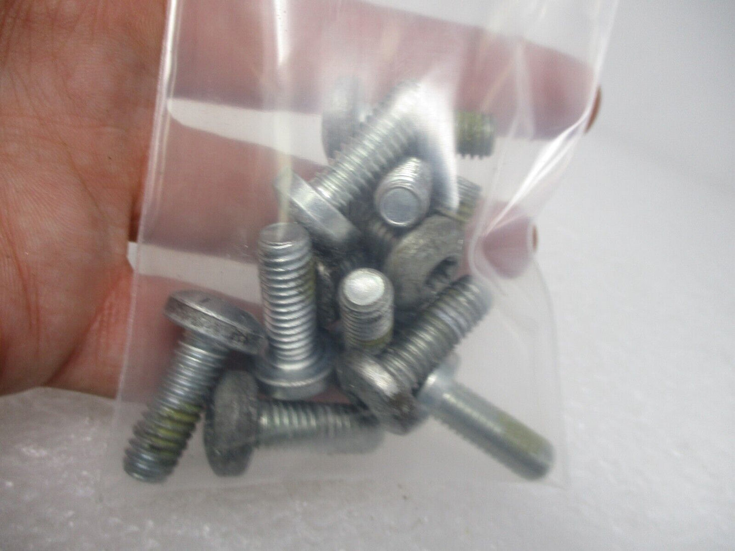 Harley Davidson Titanium Front Disc Rotor Bolts 3655A Screw 5/16 X 7/8 (12 Pack)
