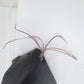 Harley-Davidson Left Speaker Box FLH Harley Touring Rear Speaker Pod 76303-98A