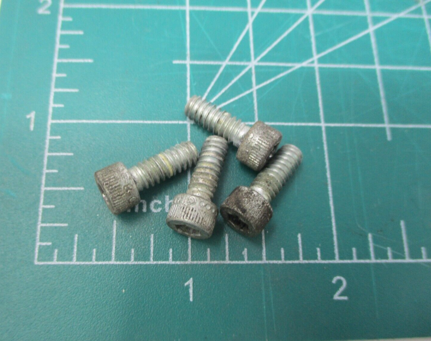 Range Screw Set/4pcs  2692-wb '09 Softail Rear signal screws