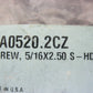 Buell OEM 2000-2003 P3 Screw AA0520.2CZ
