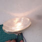 5-3/4" 5.75 Beam Halogen Glass Hi & Low Headlight Headlamp Bulb HARLEY Multifit