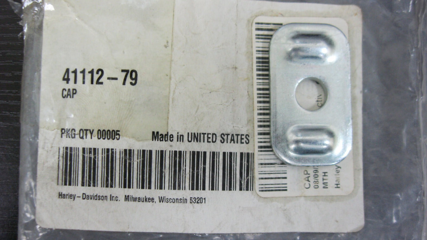 Harley-Davidson OEM NOS 80-01 Touring Rear Fork End Cover (SINGLE UNIT) 41112-79