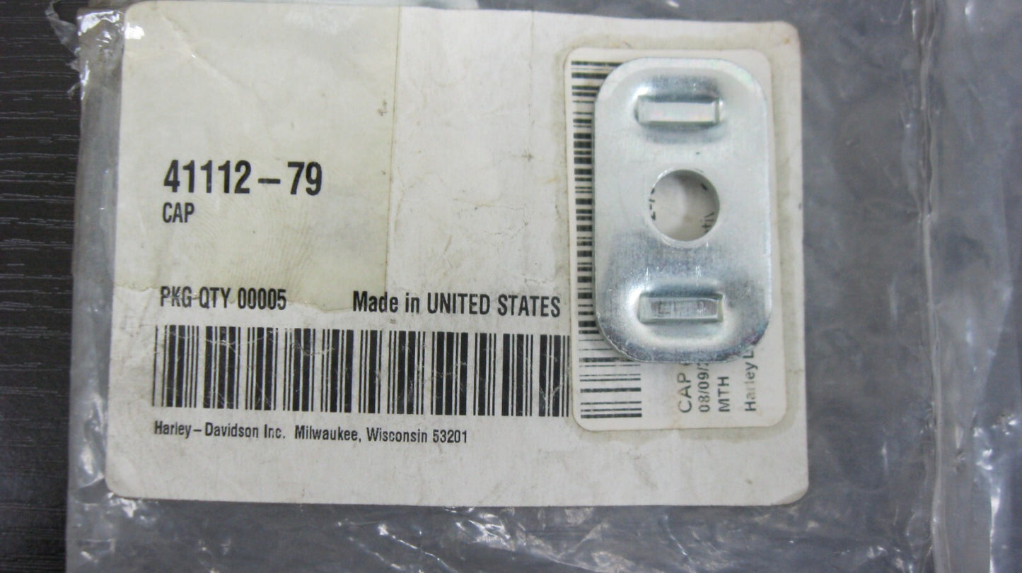 Harley-Davidson OEM NOS 80-01 Touring Rear Fork End Cover (SINGLE UNIT) 41112-79