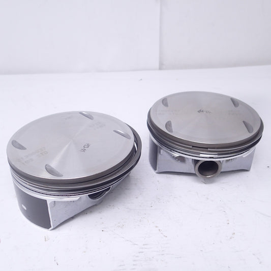 21900037 / 100 STD OEM Harley Davidson Piston 5728 FK05 3519  FK13