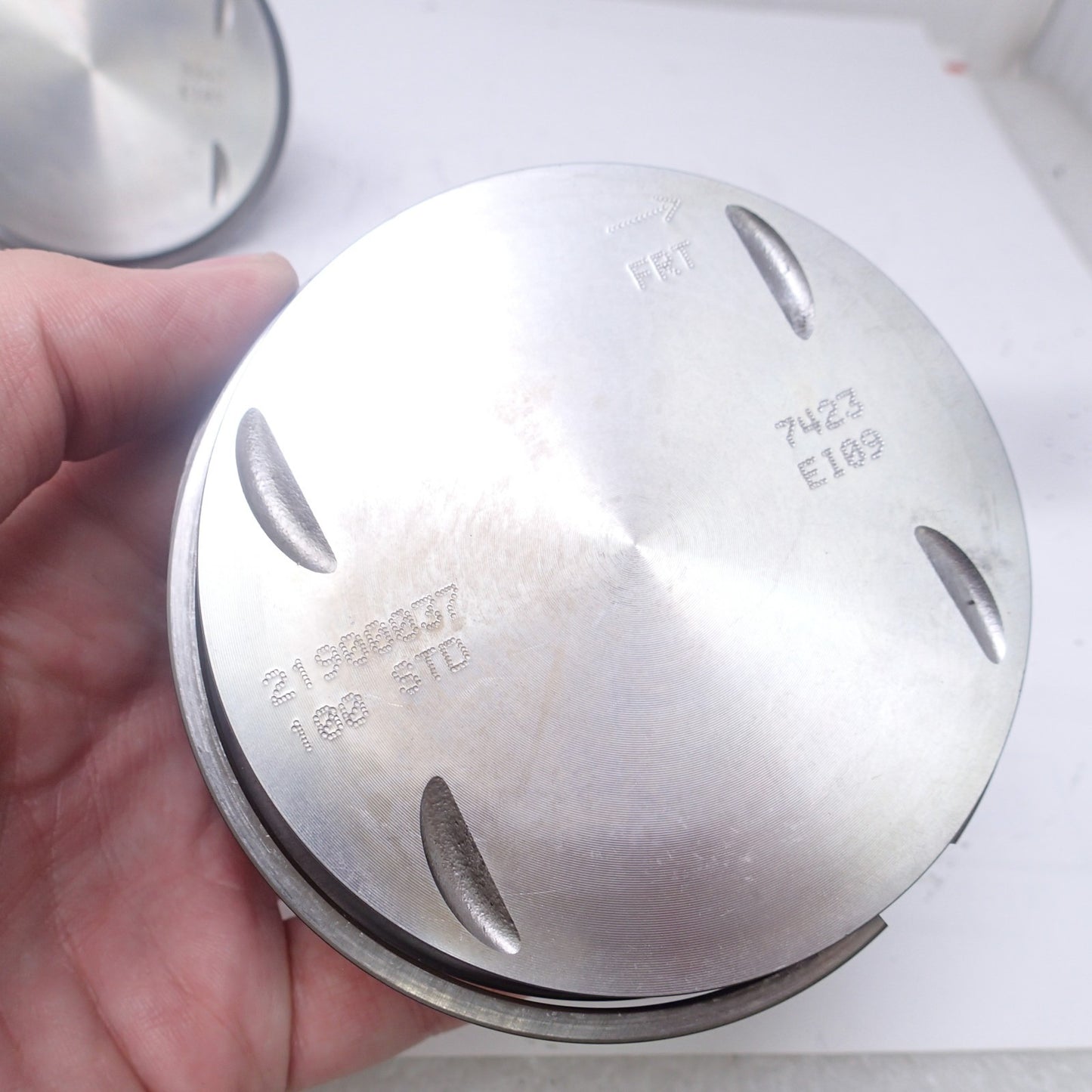 21900037 / 100 STD OEM Harley Davidson Piston 5728 FK05 3519  FK13