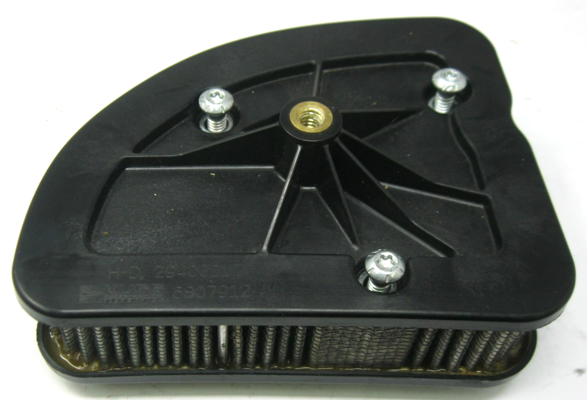 Harley-Davidson OEM 17 & Later Touring M8 Air Filter (USED) With Bolts 29400212