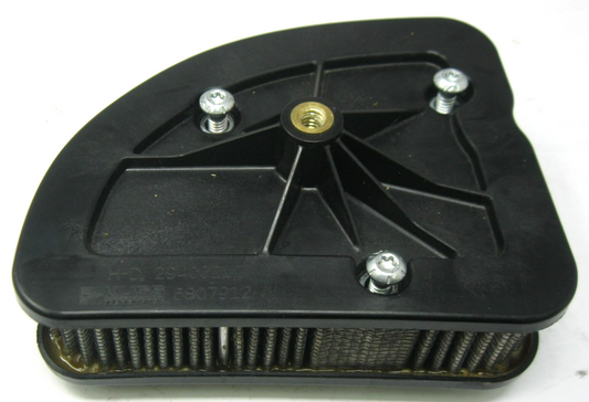 Harley-Davidson OEM 17 & Later Touring M8 Air Filter (USED) With Bolts 29400212