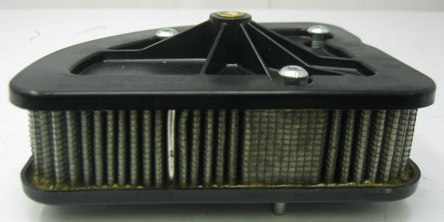 Harley-Davidson OEM 17 & Later Touring M8 Air Filter (USED) With Bolts 29400212