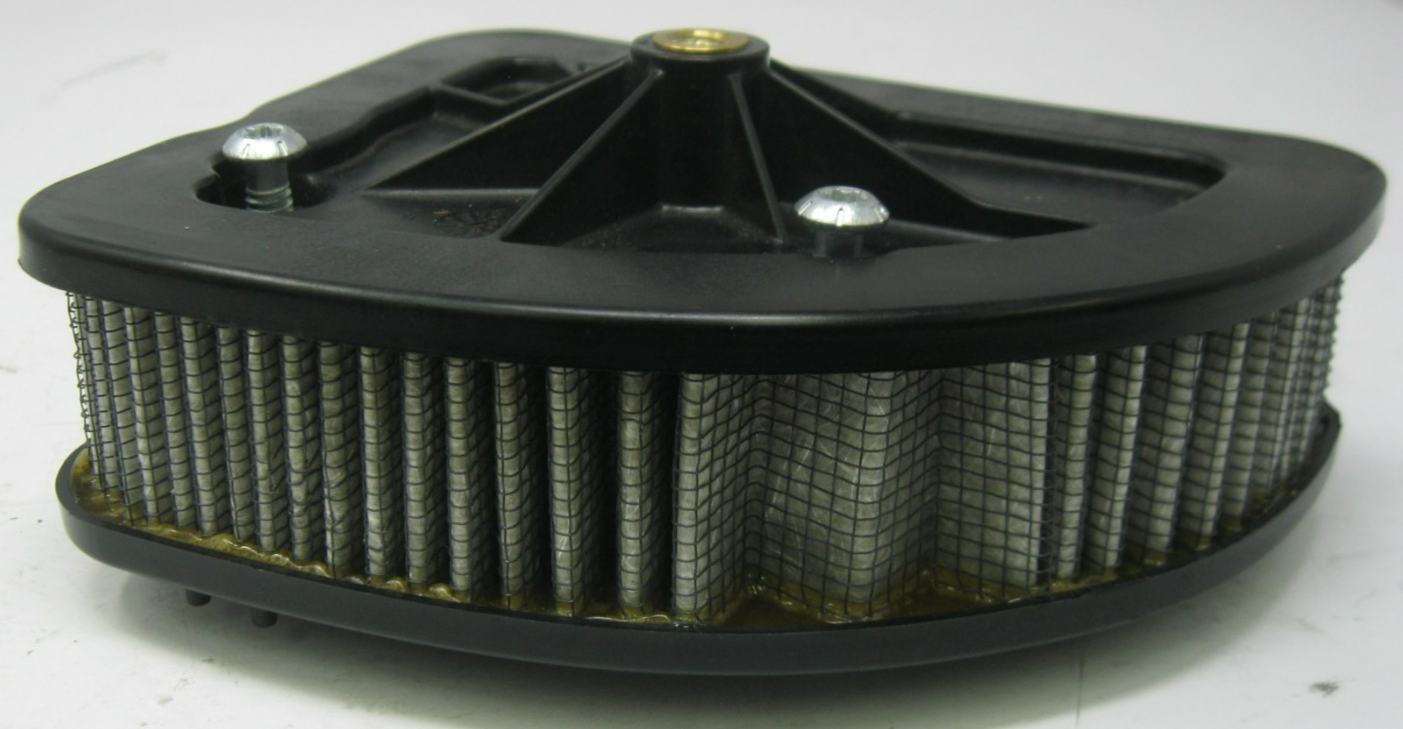 Harley-Davidson OEM 17 & Later Touring M8 Air Filter (USED) With Bolts 29400212