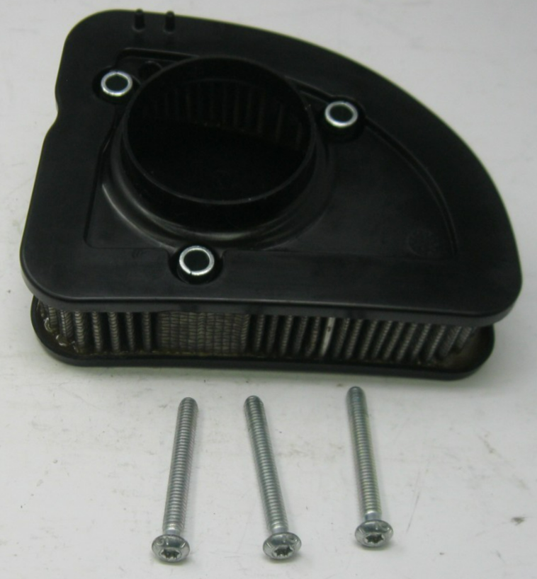 Harley-Davidson OEM 17 & Later Touring M8 Air Filter (USED) With Bolts 29400212