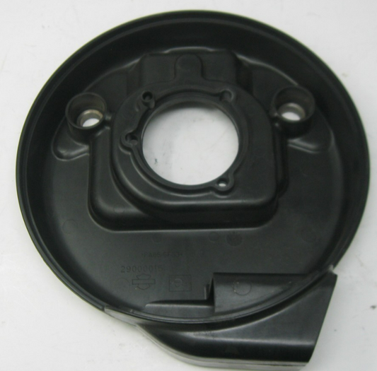 Harley-Davidson OEM 13-16 Sportster Air Cleaner Backing Plate 29000015