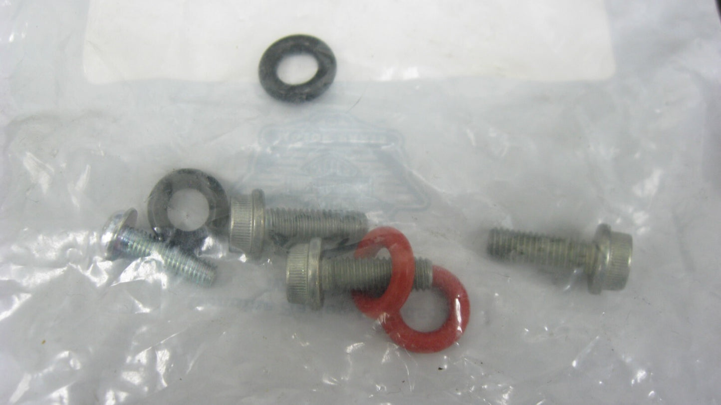 Harley-Davidson OEM 17 & Later Induction Mudule Hardware Kit 91800058-SUB