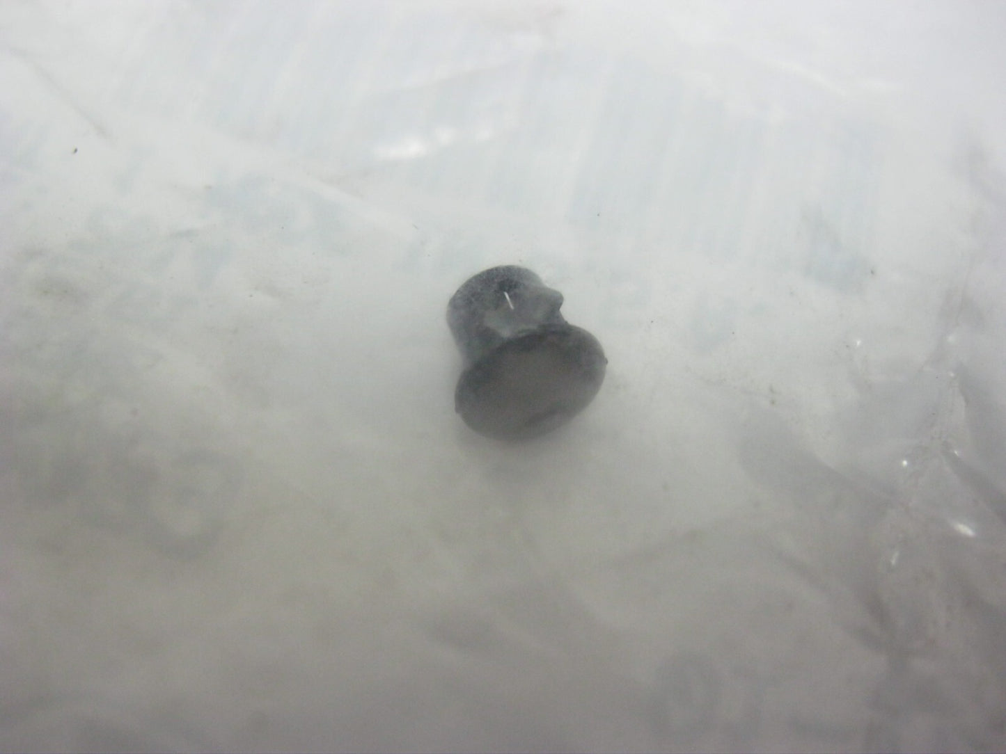 Harley-Davidson OEM 14-24 Touring Tour-Pak Dome Plug 12100023