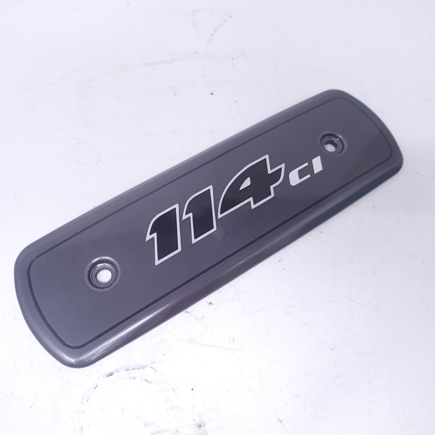 Harley-Davidson 114 Air Cleaner Insert Medallion M8 FLHRXS FLHXS FLTRXS 14101306