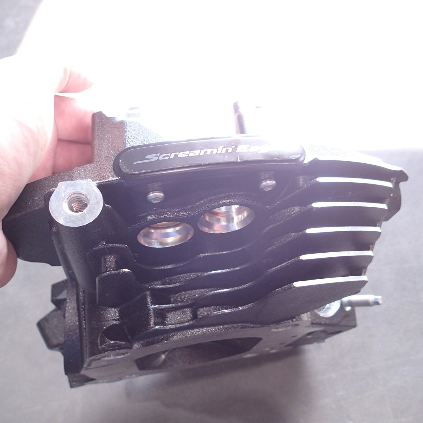 16500747 / Harley M8 2017-2024 CVO Water Cooled  Screamin Eagle Heads 107 /114