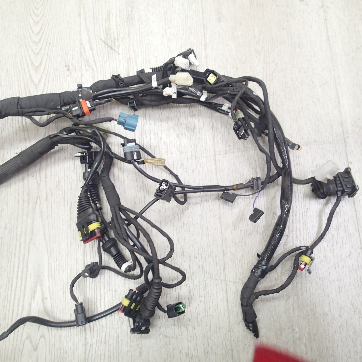 2017 DUCATI SCRAMBLER COMPLETE MAIN WIRING WIRE HARNESS LOOM impianto elettrico