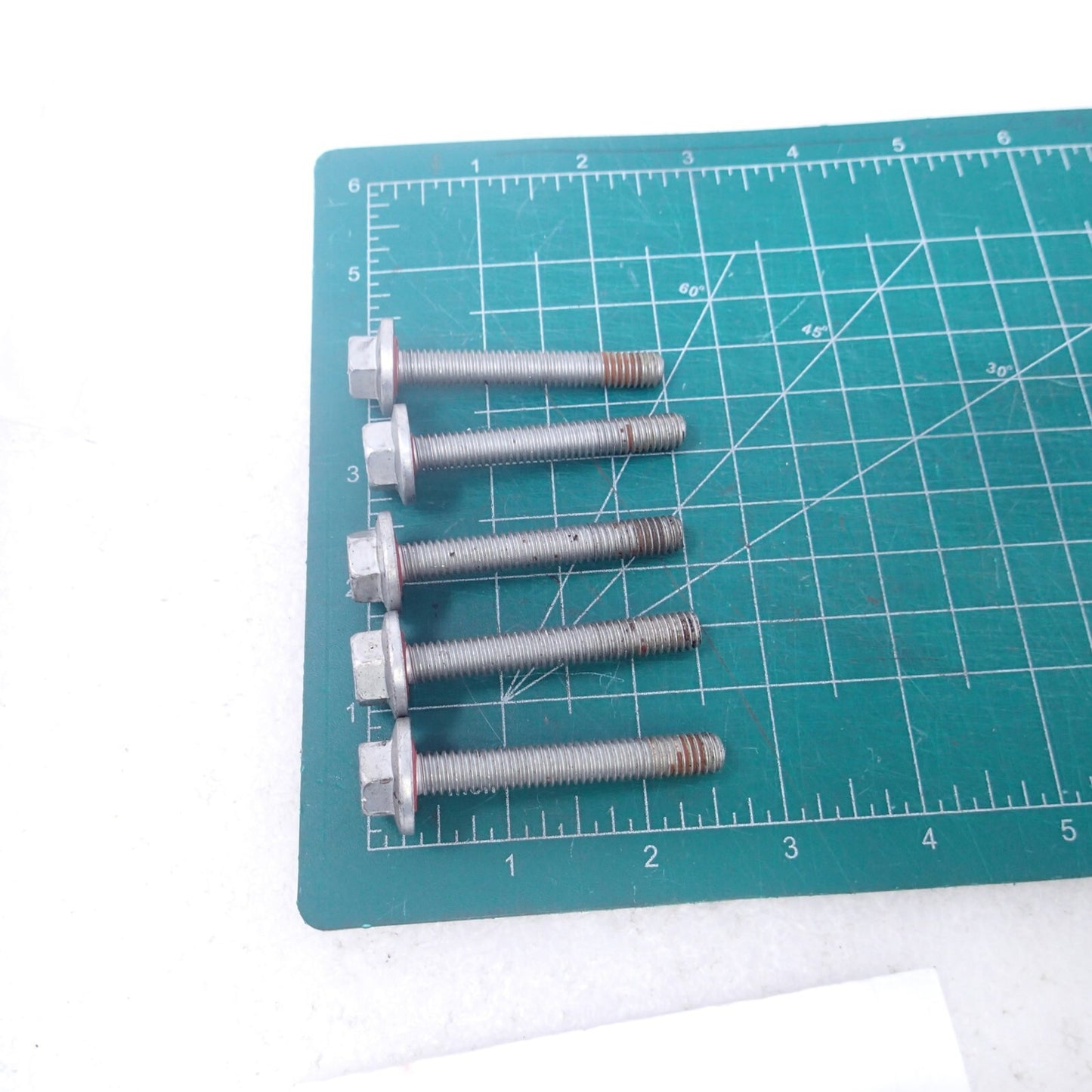 Harley-Davidson Inner Primary Case Mounting Bolts OEM #786A 5pcs