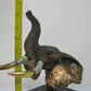 Legends "Old Tusker" by Kitty Cantrell (570/950)