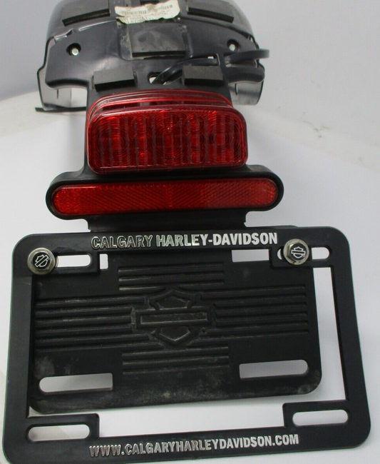 Harley-Davidson  Fender Support with Plate Holder & Tail Lamp Assembly 59500448