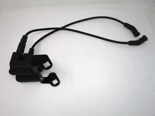 Harley Davidson Ignition Coil/Bracket/Plug Wires
